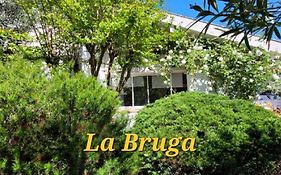 La Bruga